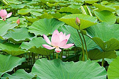 搞怪无厘头，《节奏旅社》超欢乐DEMO发布！